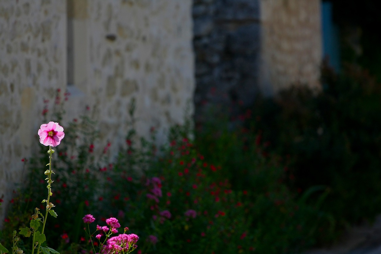 flower house facade free photo