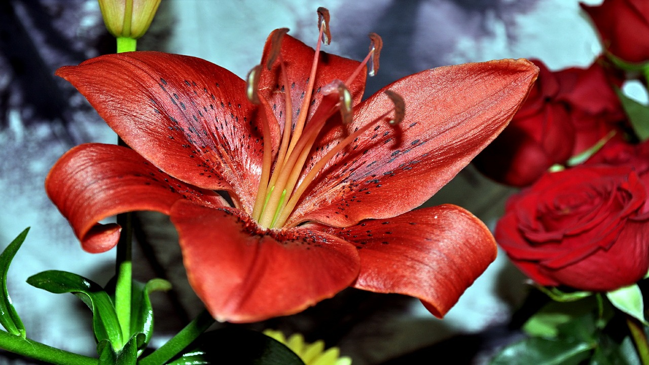 flower cut bouquet free photo