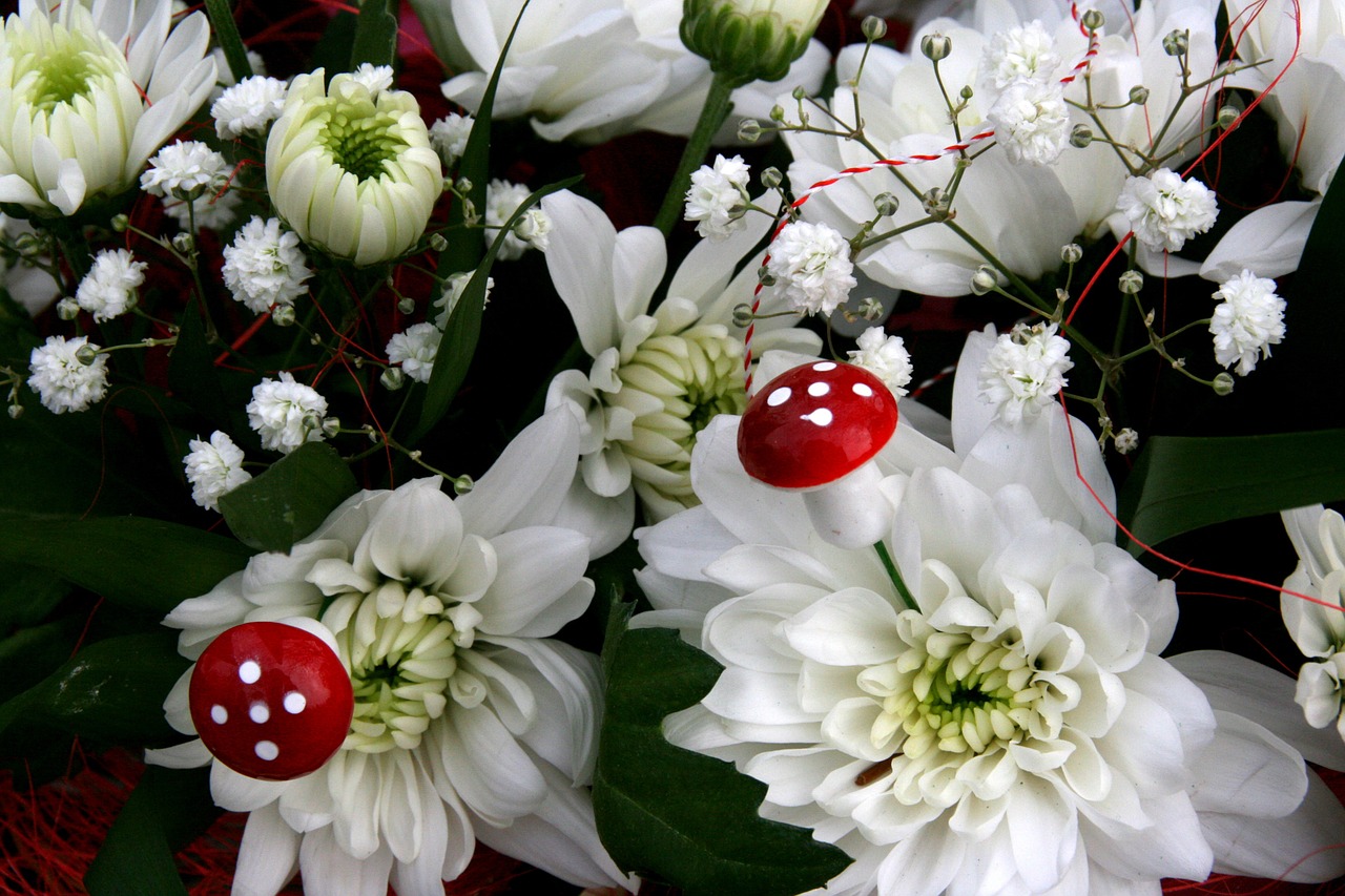 flower mushroom white free photo