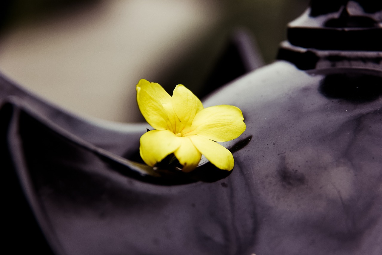 flower lamp yellow free photo