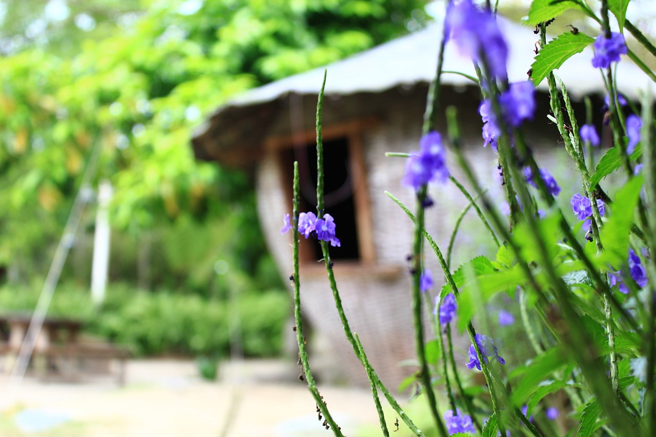 flower tree wood landscape free photo