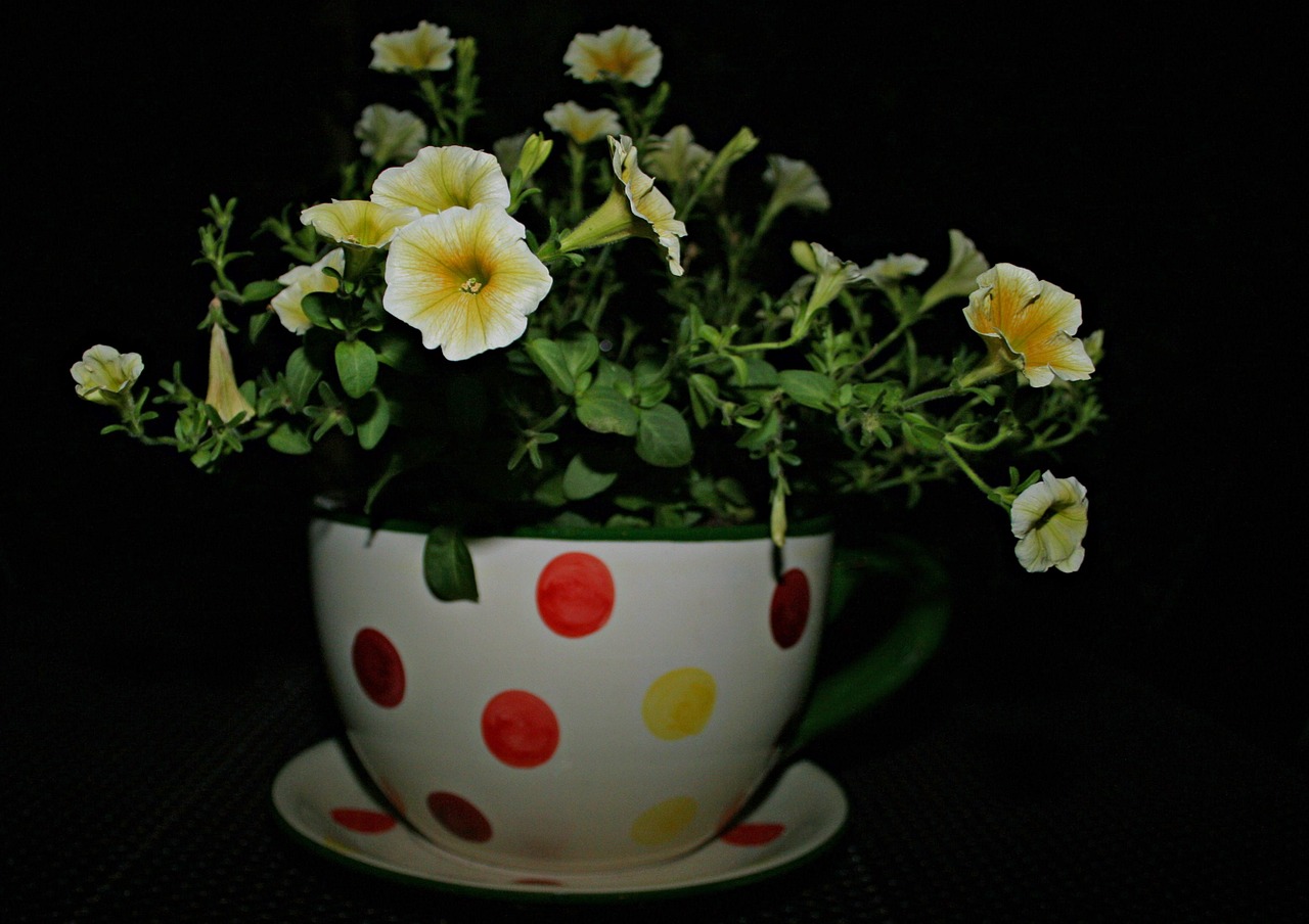 flower cup of bouquet free photo