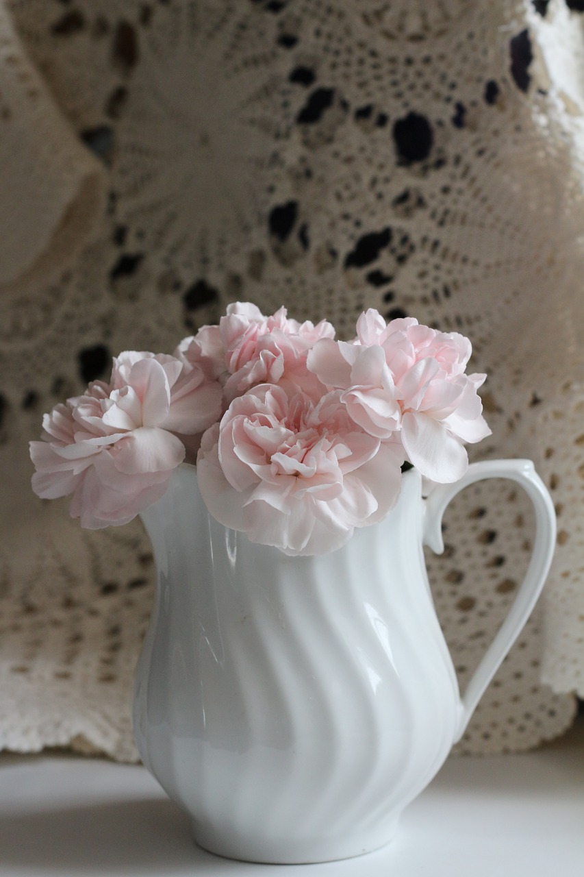flower pink white free photo