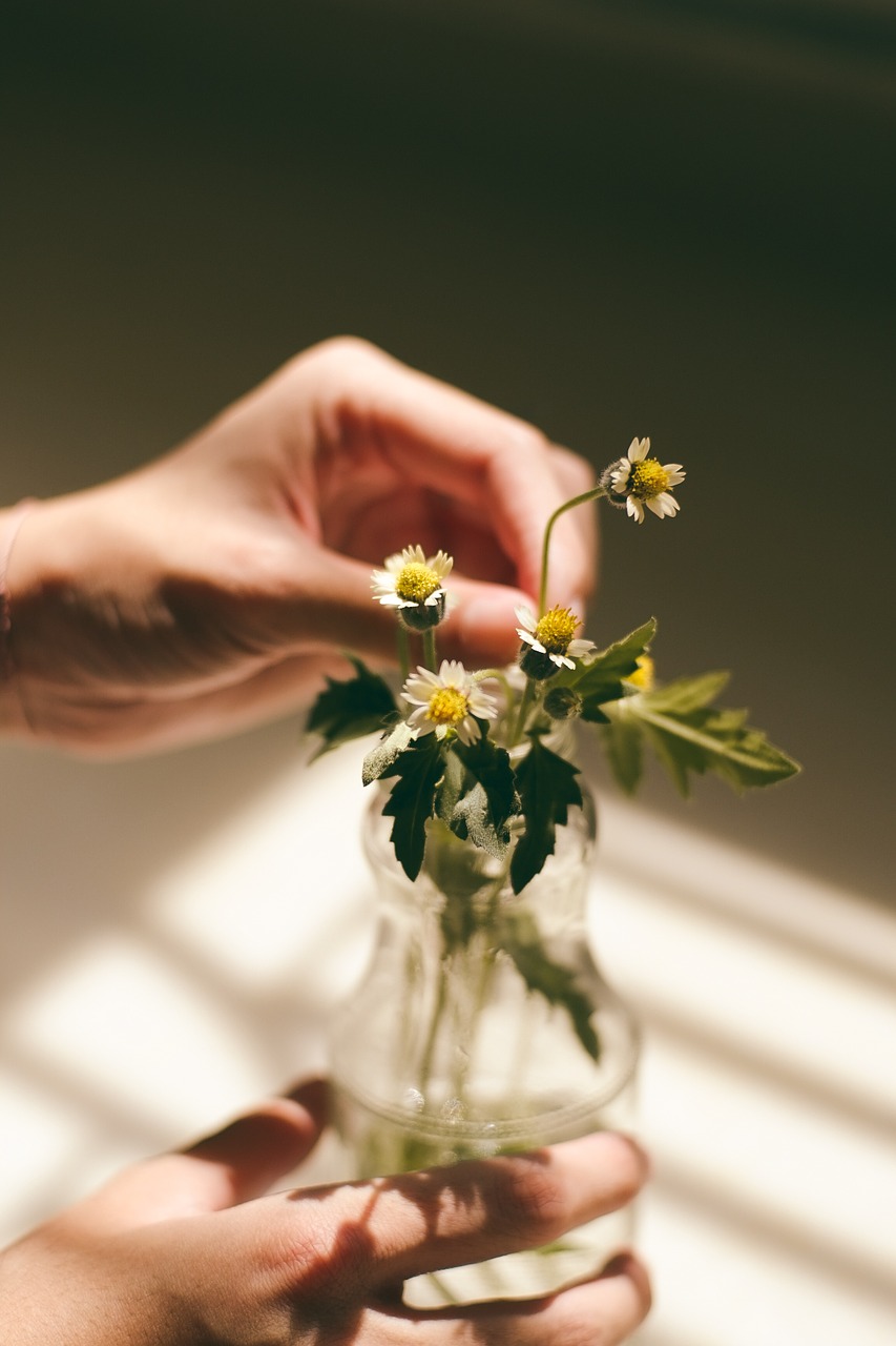 flower bouquet white free photo