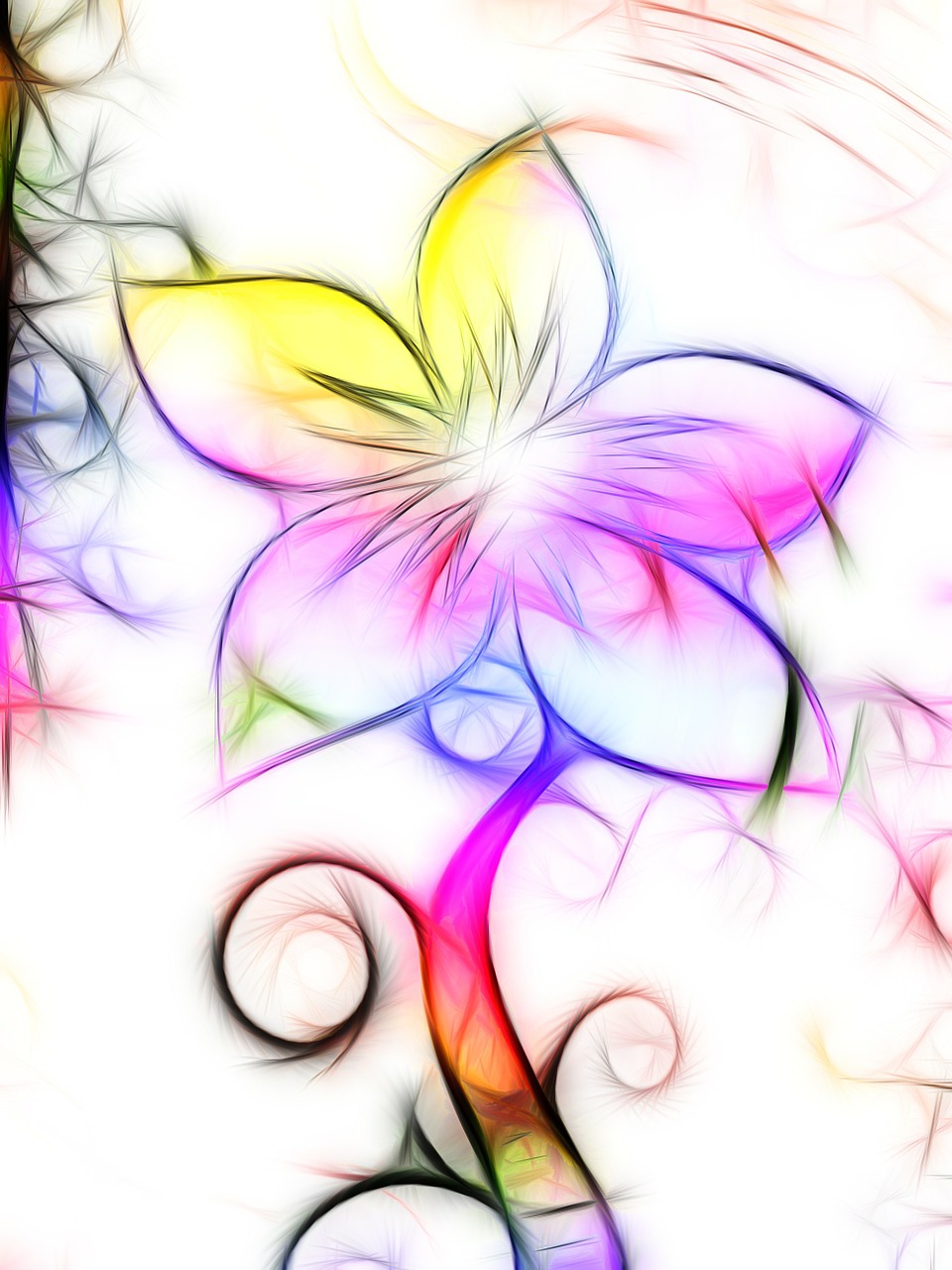 flower colorful graphic free photo