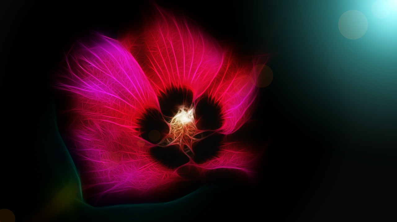 flower abstract art free photo