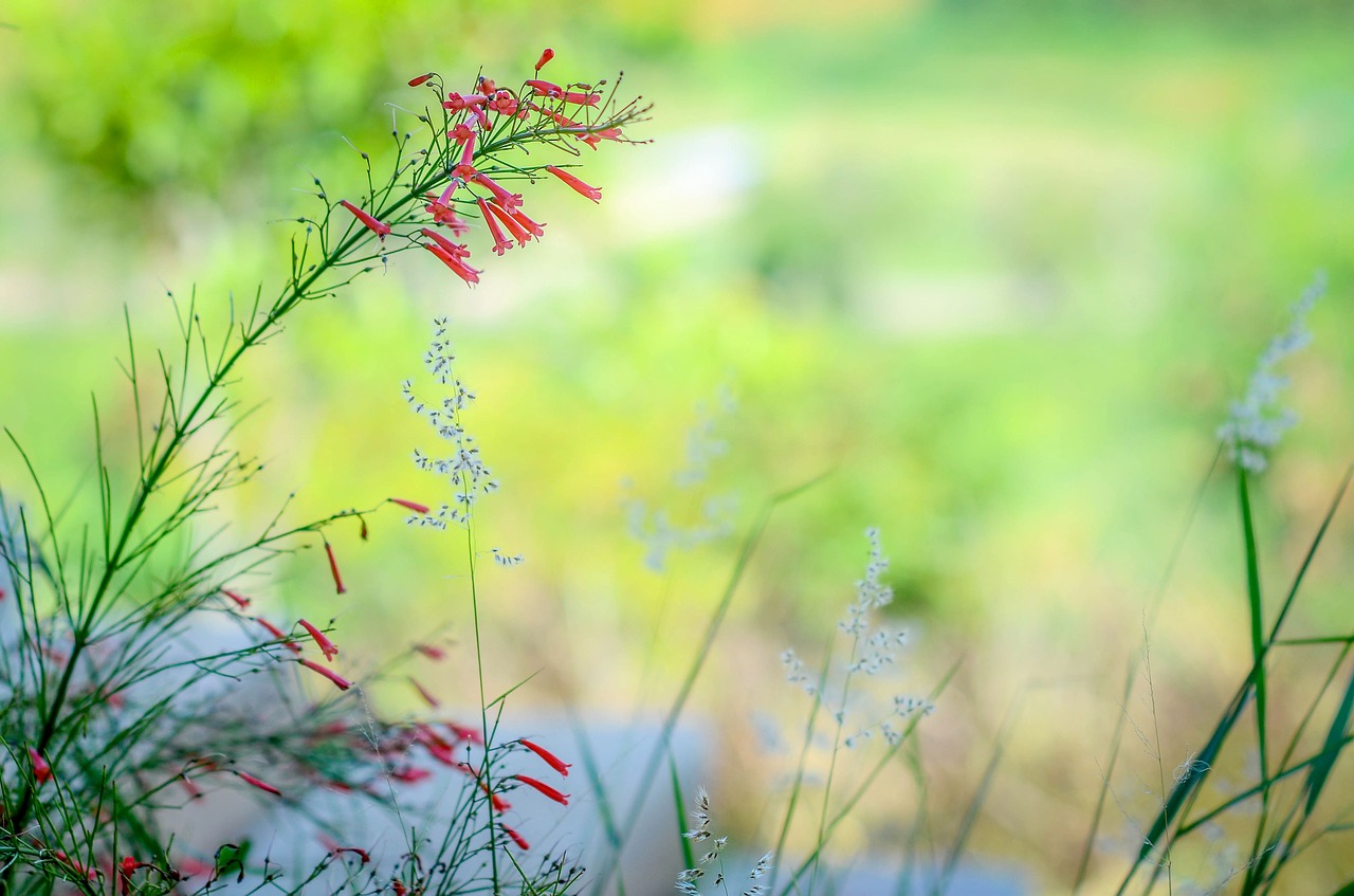 flower green floral free photo