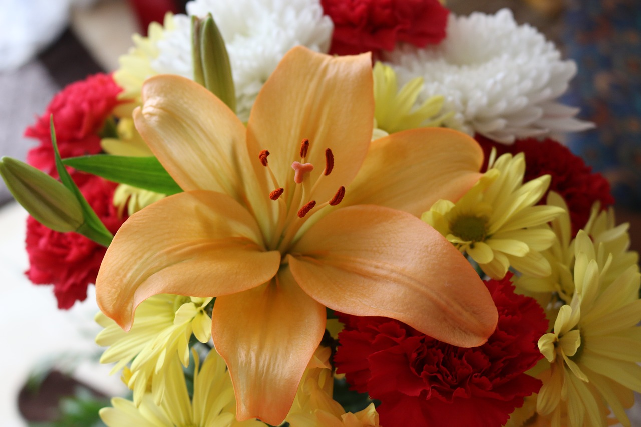 flower,lily,yellow,bouquet,carnation,floral,nature,arrangement,daisy,red,gift,natural,blossom,celebration,flower arrangement,orange,decoration,white,colorful,petal,orange flower,free pictures, free photos, free images, royalty free, free illustrations, public domain
