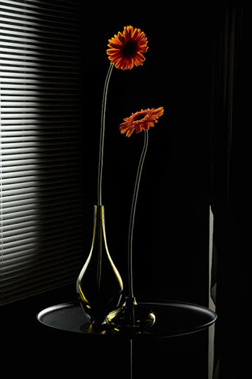 flower vase black free photo