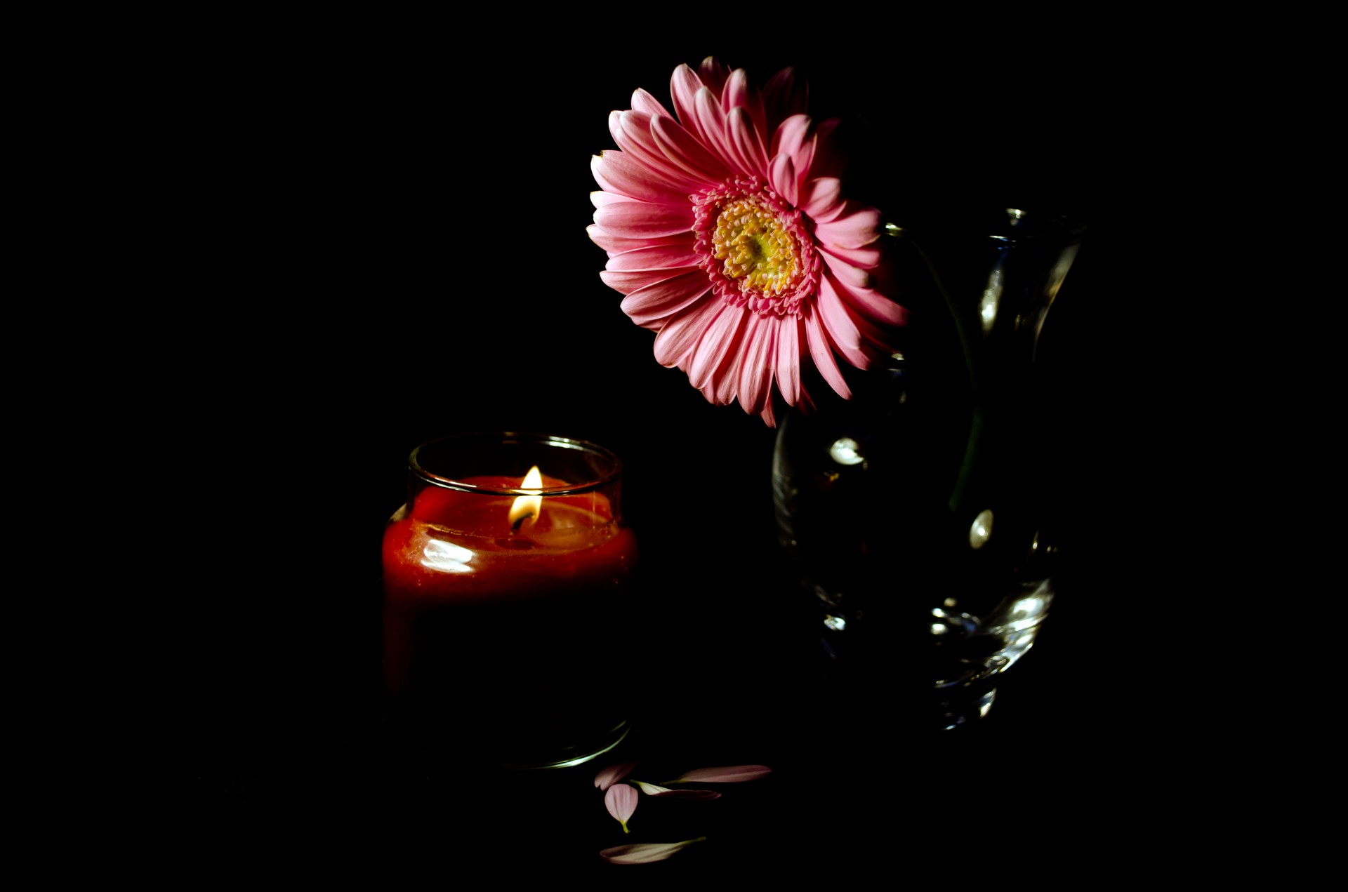 flower flowers candle free photo