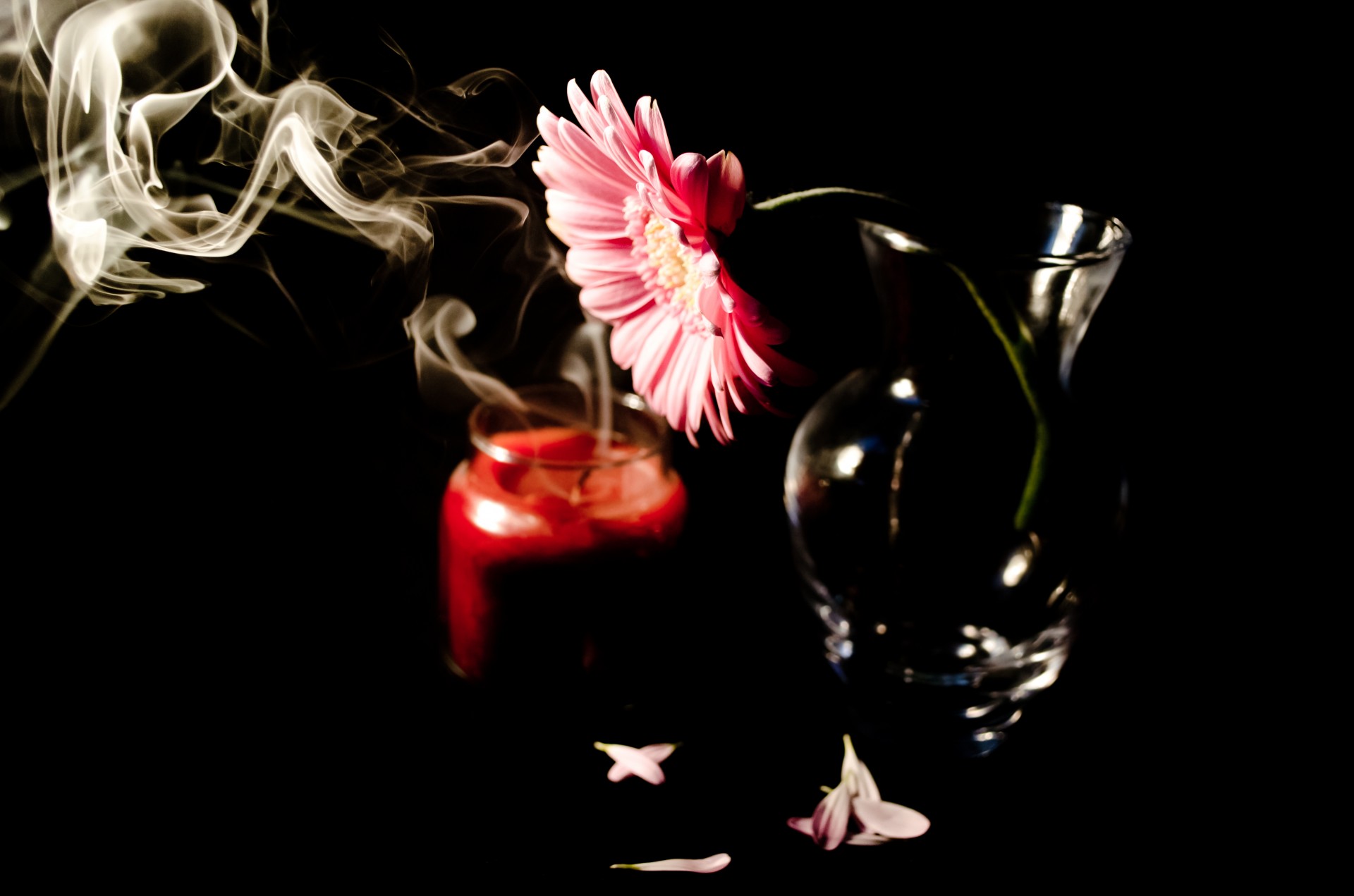 flower flowers candle free photo