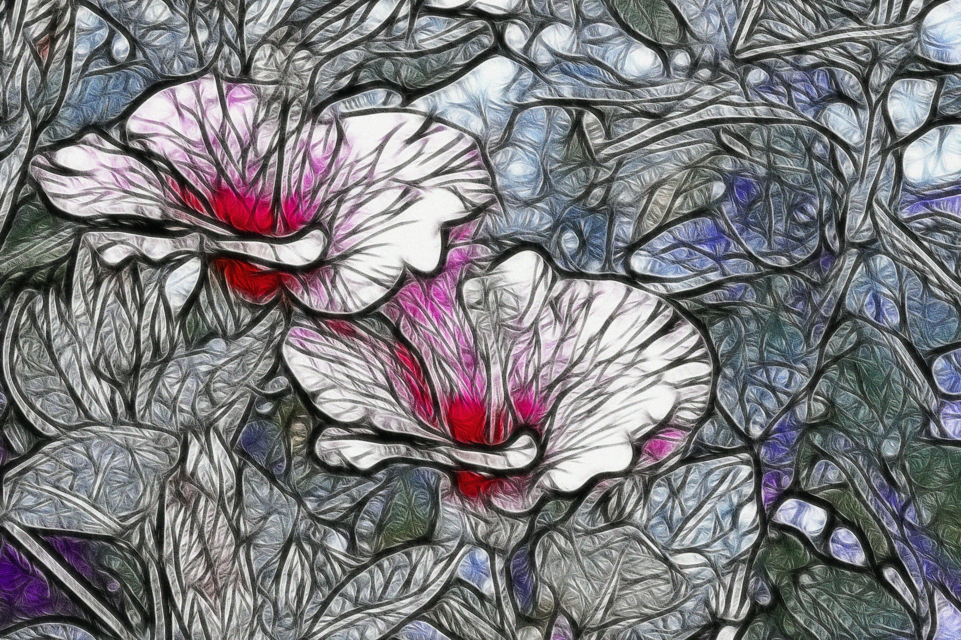 hibiscus artistic flower free photo