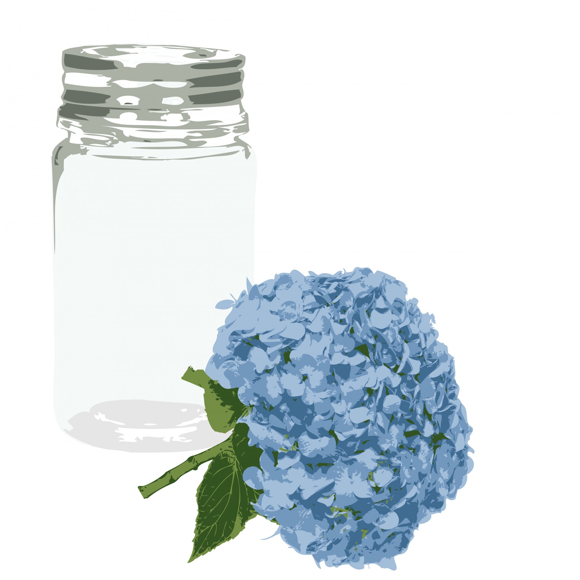 flower hydrangea blue free photo