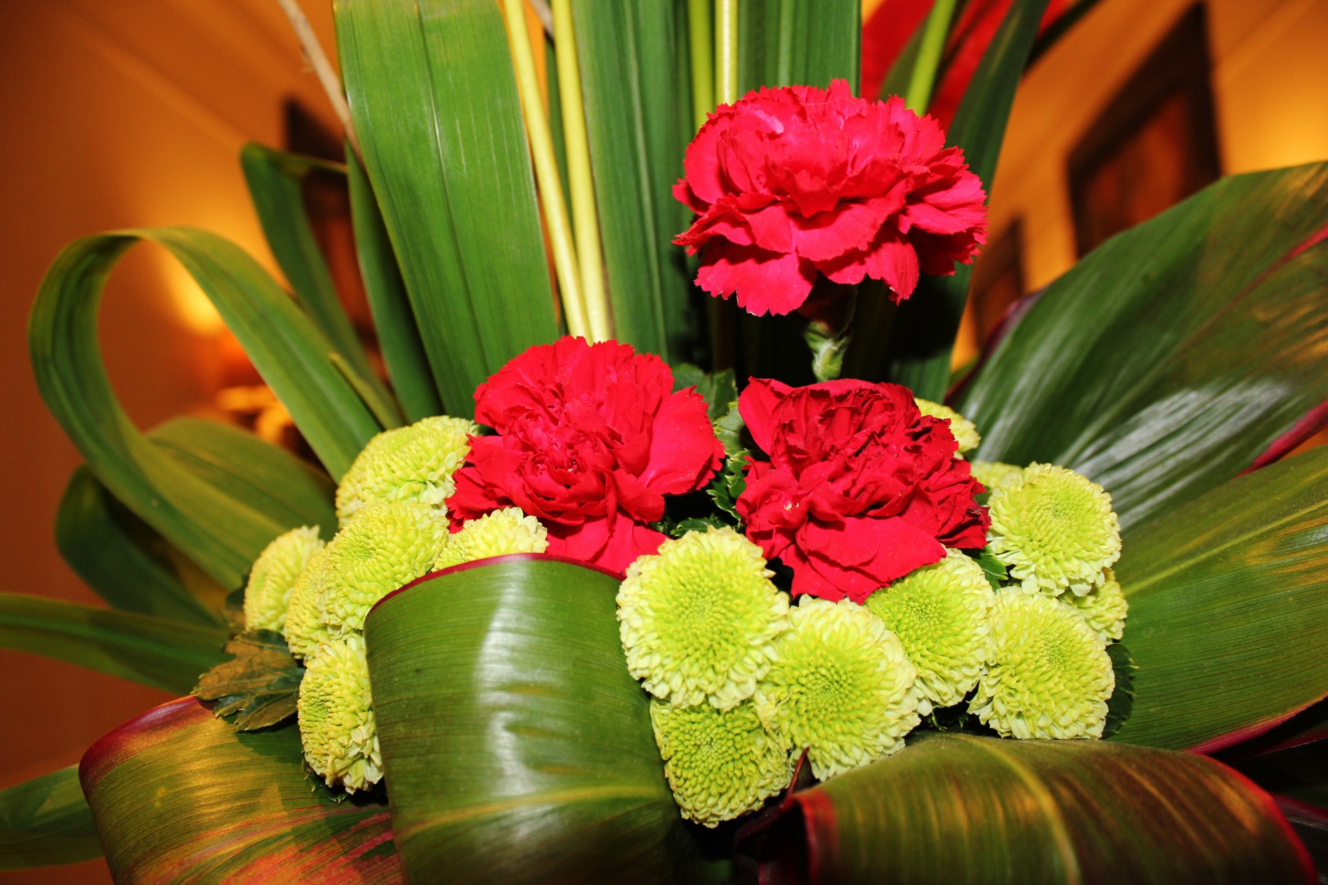 flowers red flowers green flowers free photo
