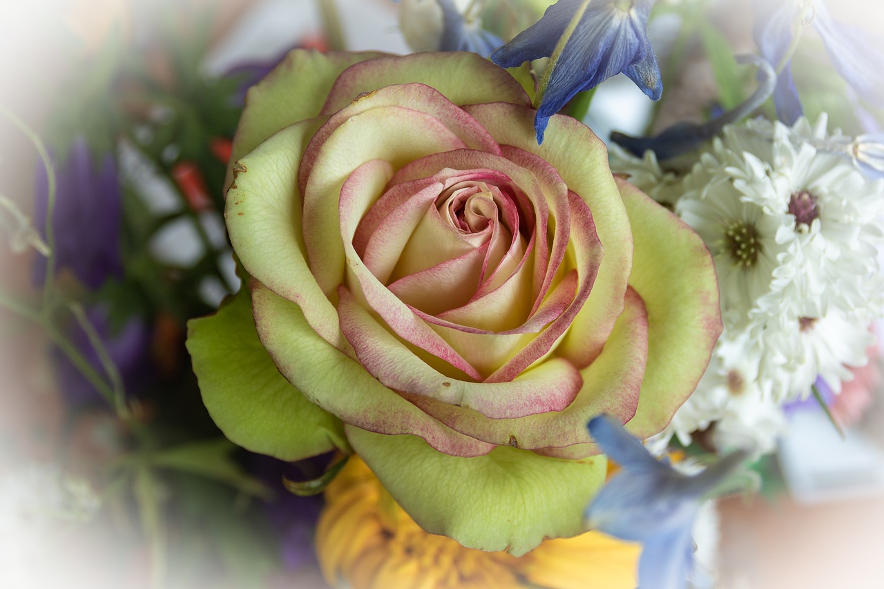 flower arrangement  roses  flowers free photo