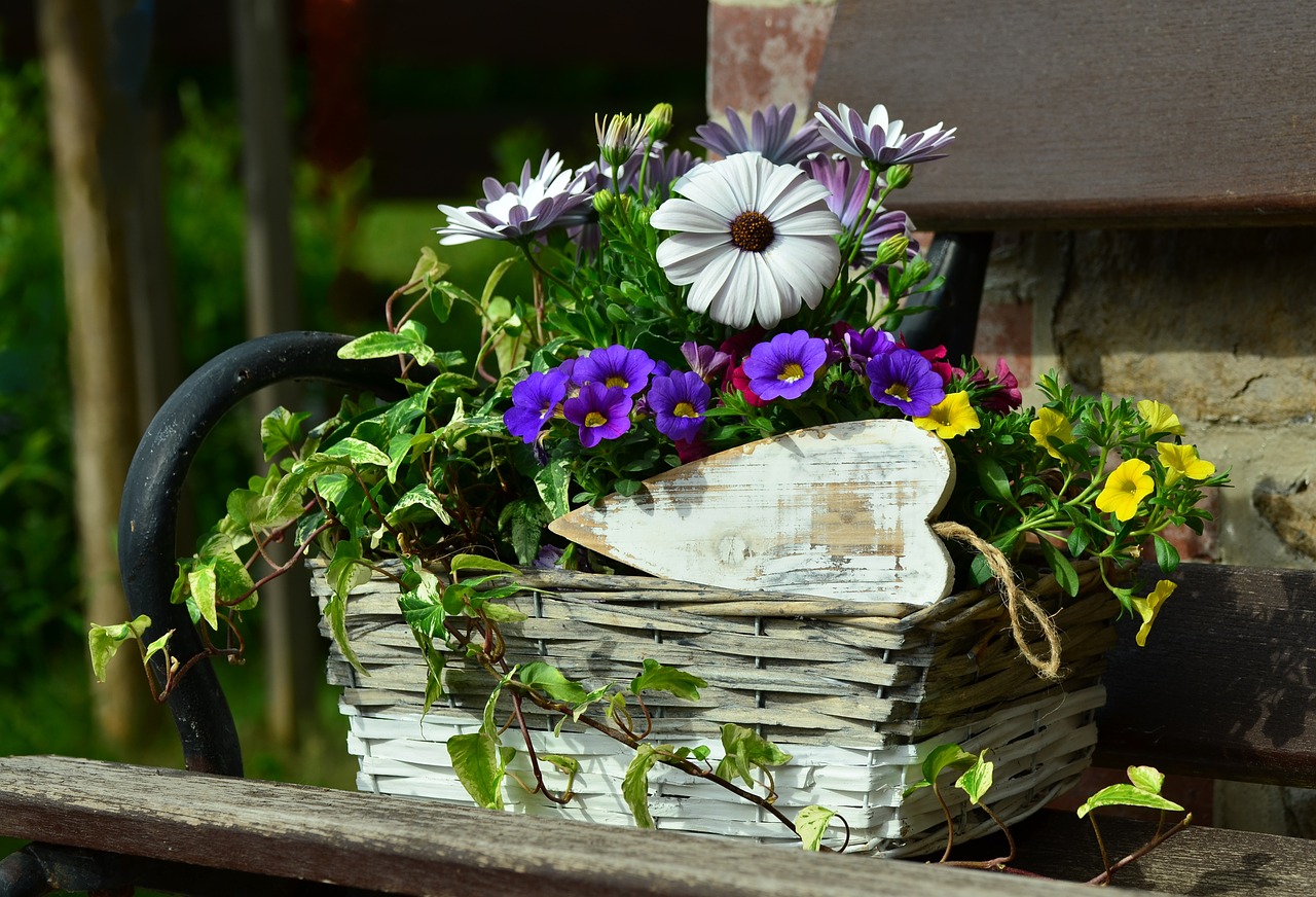 flower basket floral decoration still life free photo