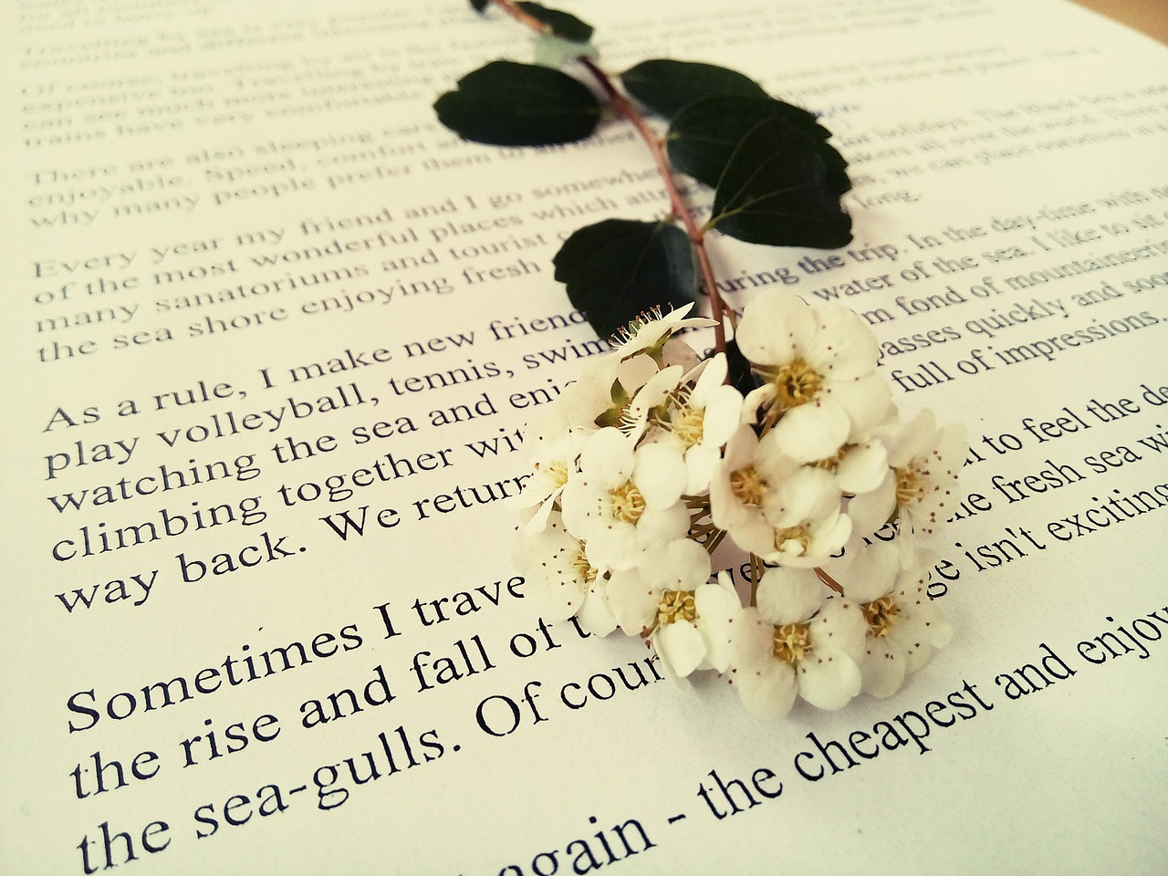 flower book white free photo