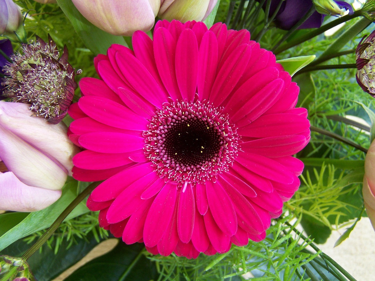 Download free photo of Flower bouquet,gerbera,cut flower,free pictures ...