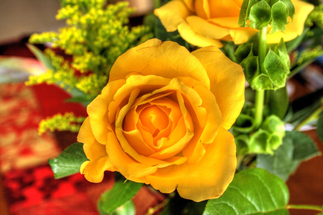 flower bouquet roses yellow free photo