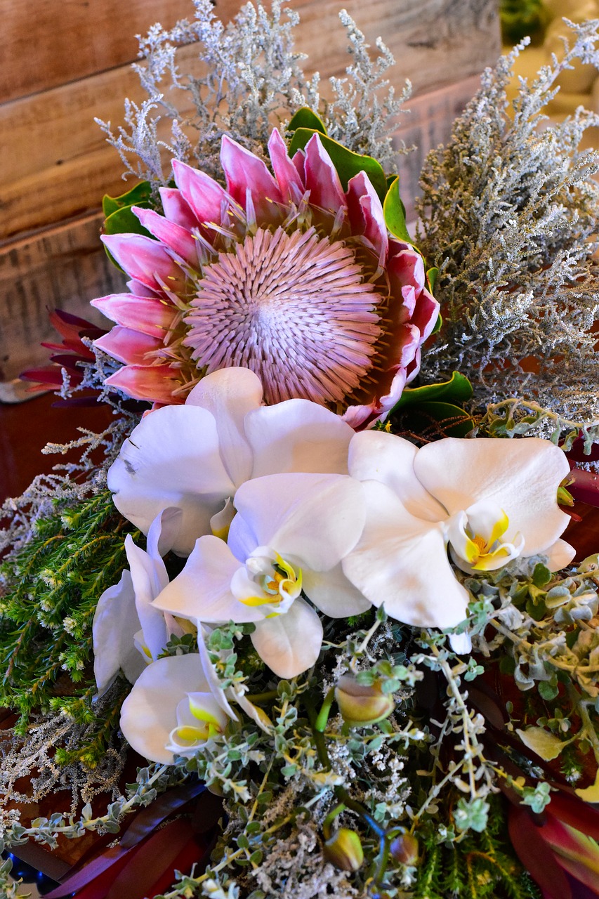 flower bouquet king protea orchid free photo