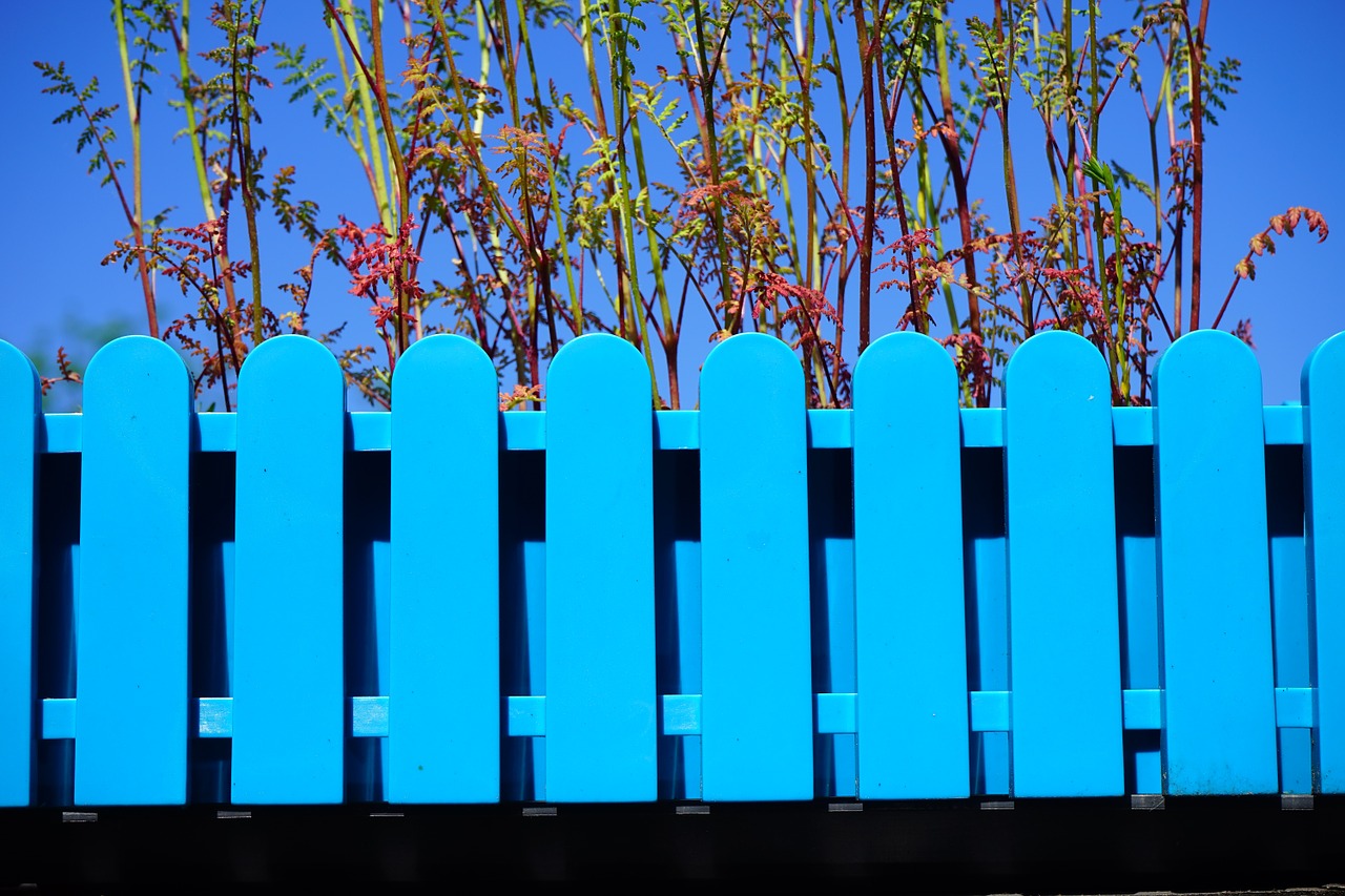flower box blue garden fence free photo