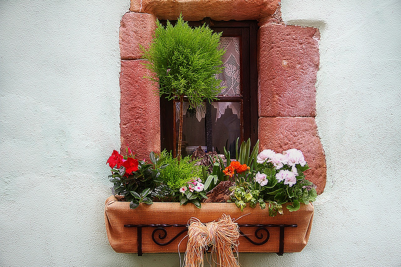 flower box window building free photo