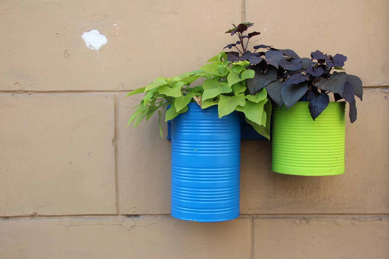 Plant flowers recycle cans collect. Синяя стена с кашпо. Зеленые горшки под цветы. Ящик для цветов колокольчик. Синяя стена цветок в горшке.