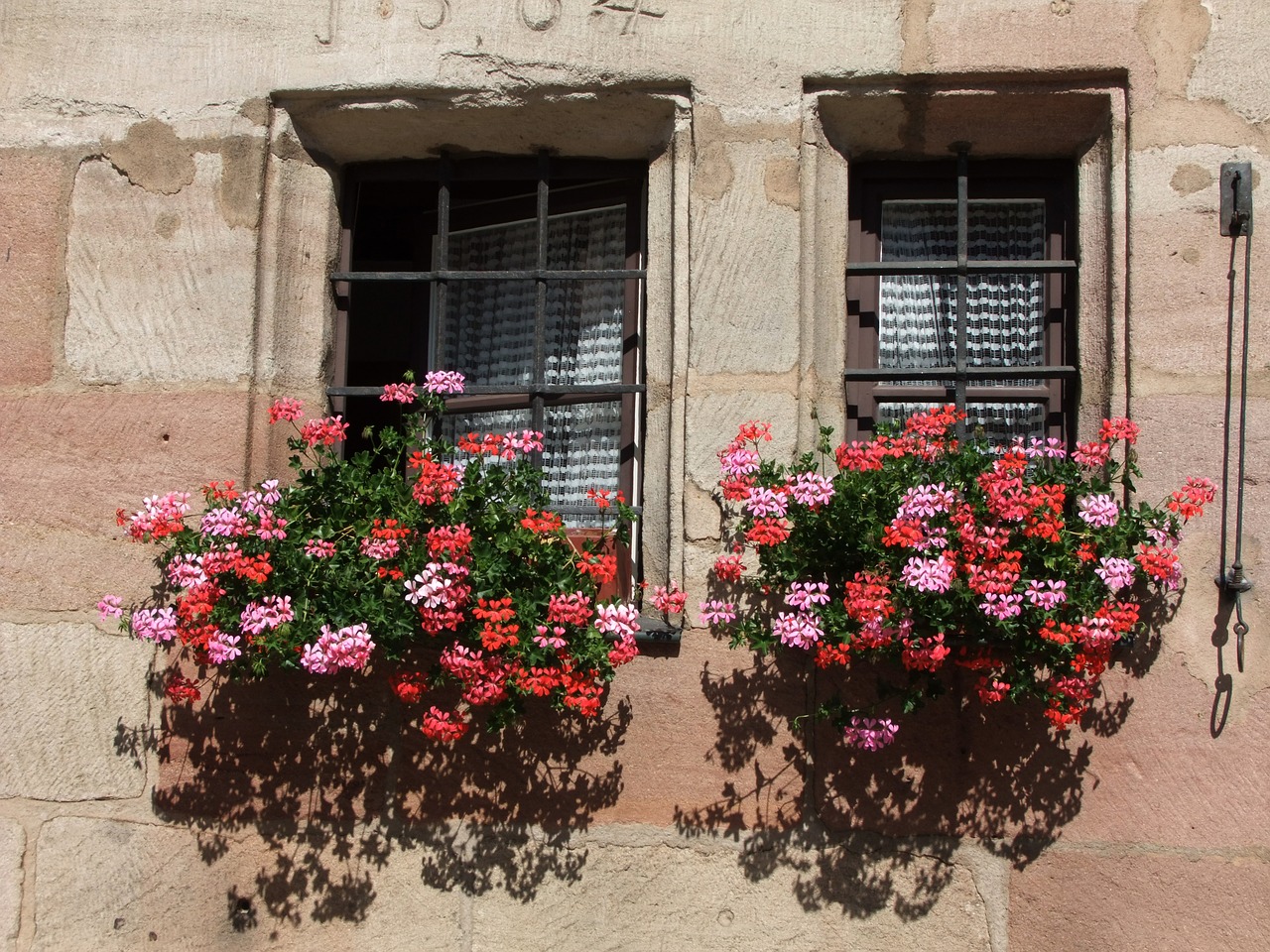 flower boxes window facade free photo
