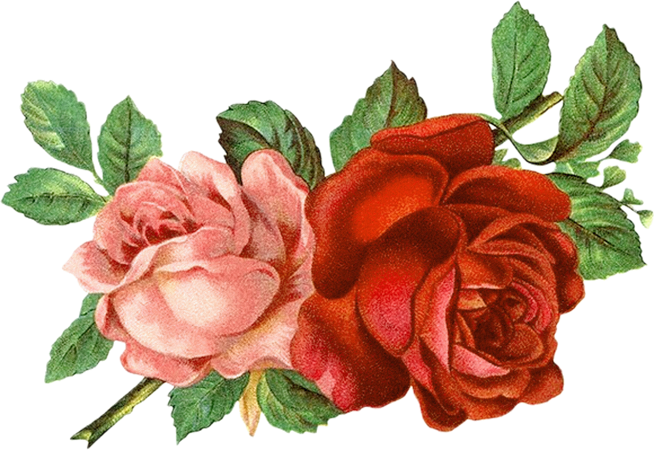 flower clipart floral clipart roses clipart free photo