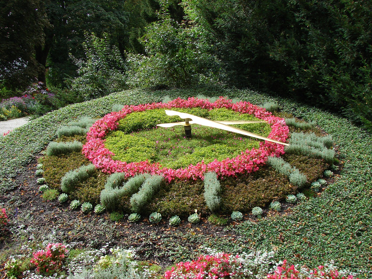 flower clock clock flowers free photo