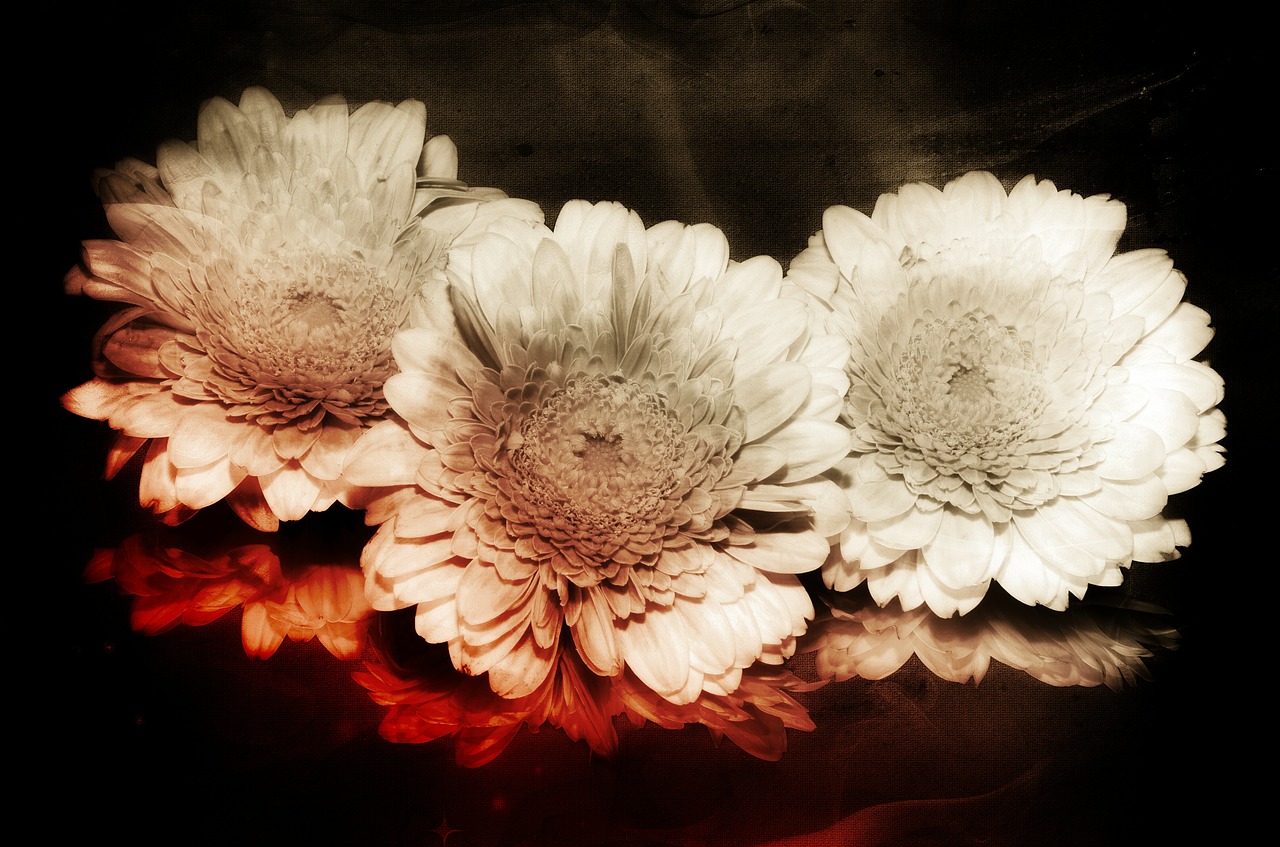 flower composing ancient background free photo