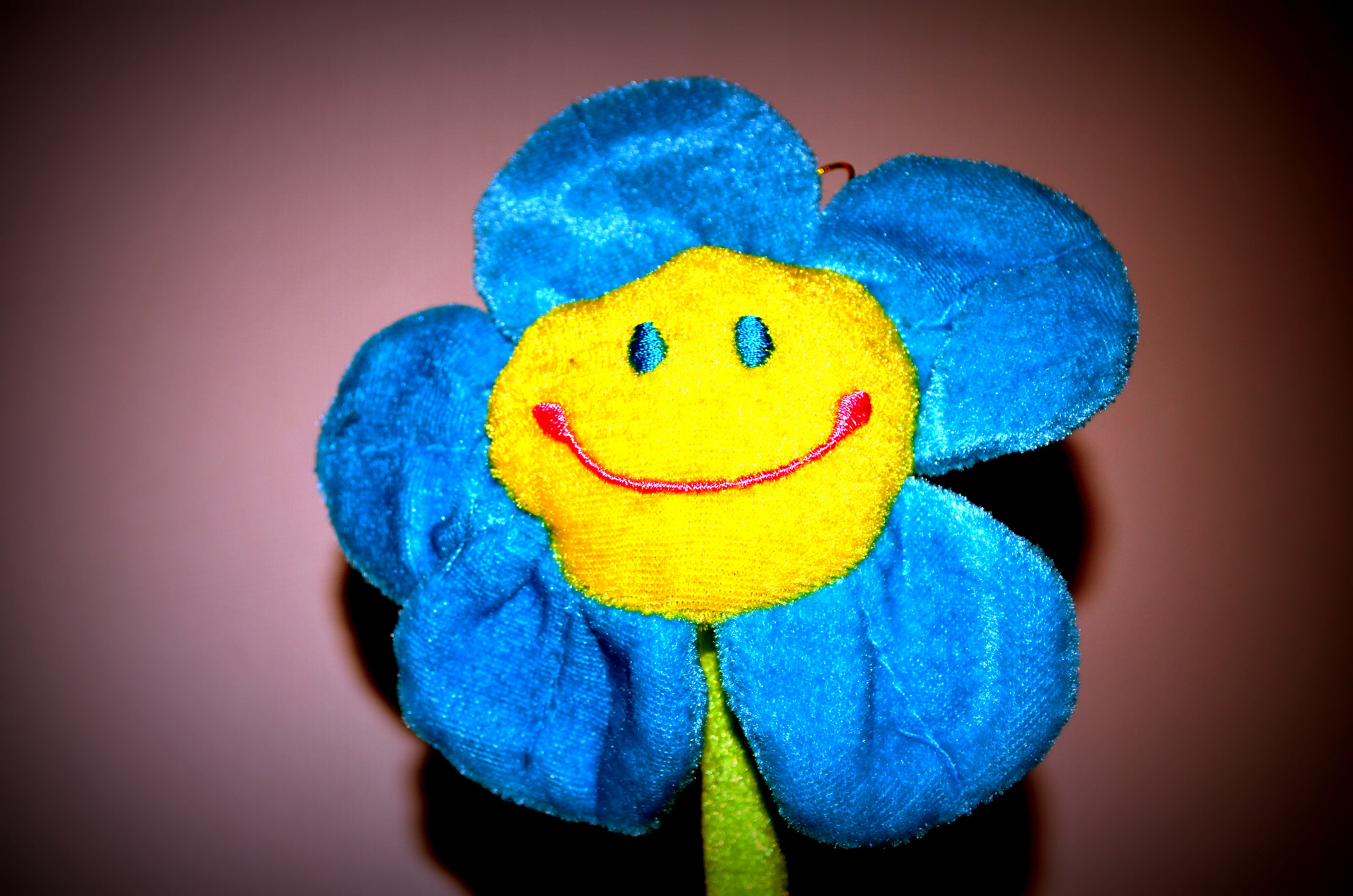 flower face toy free photo