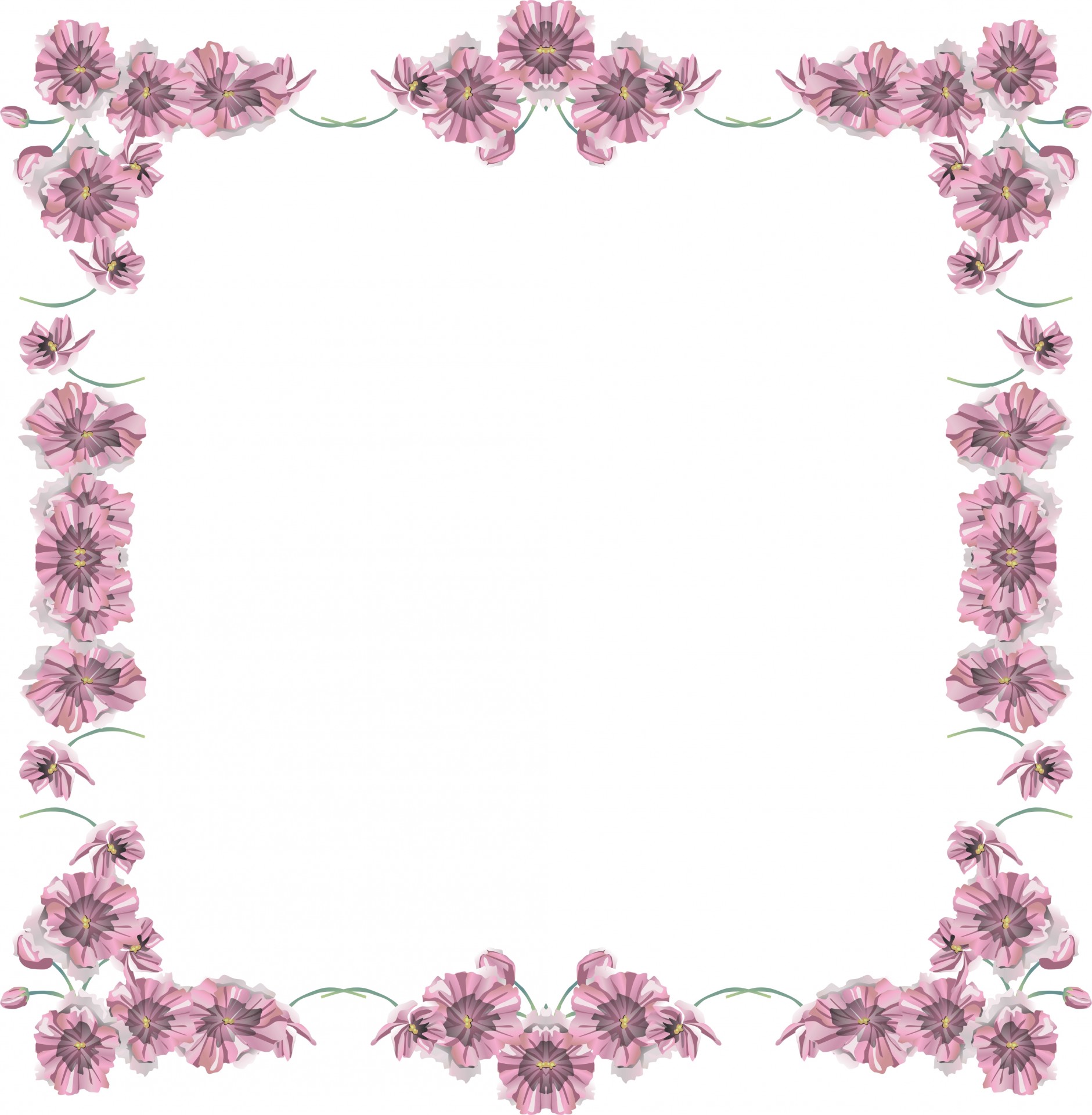 pink flowers symmetric free photo
