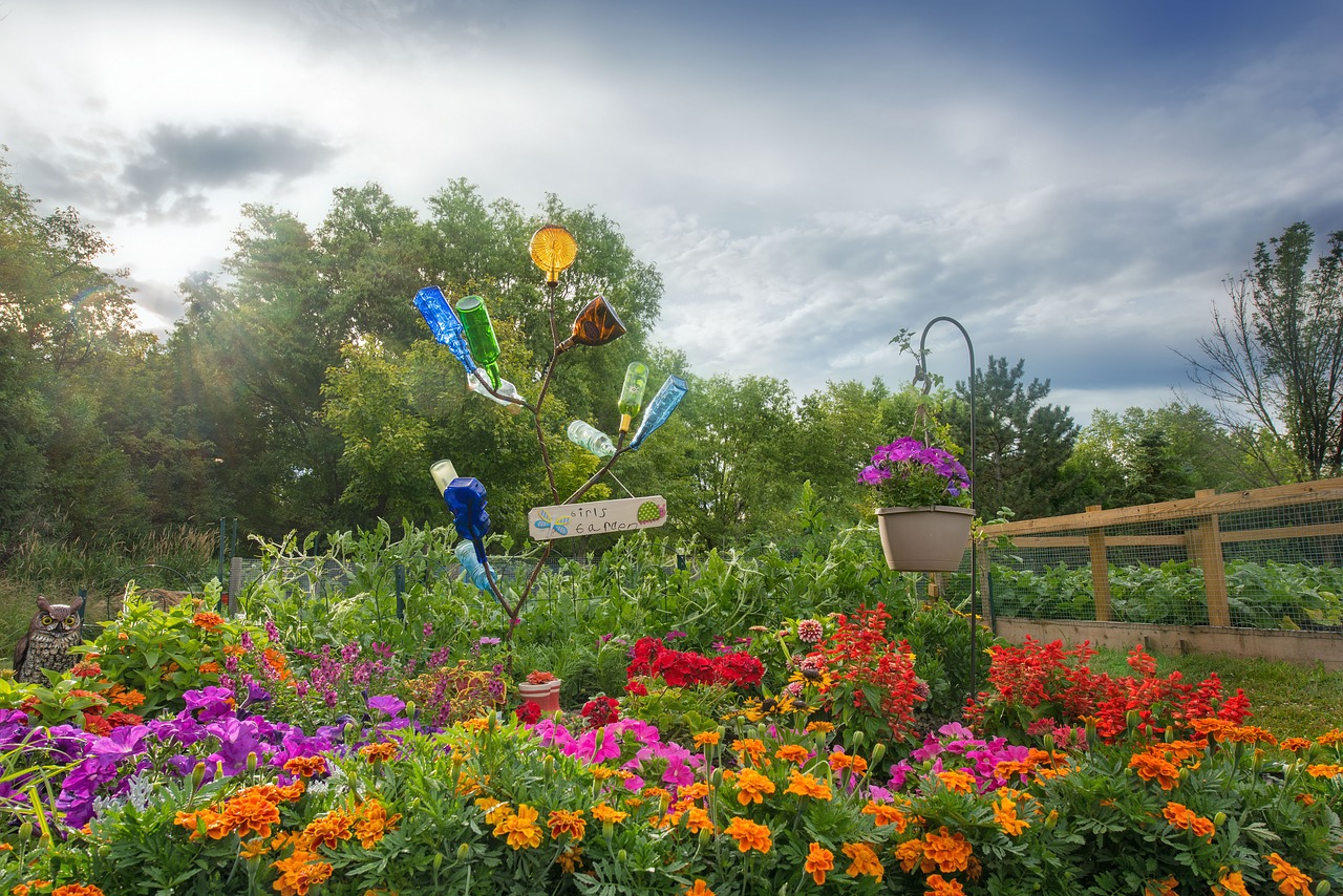 flower garden floral gardening free photo