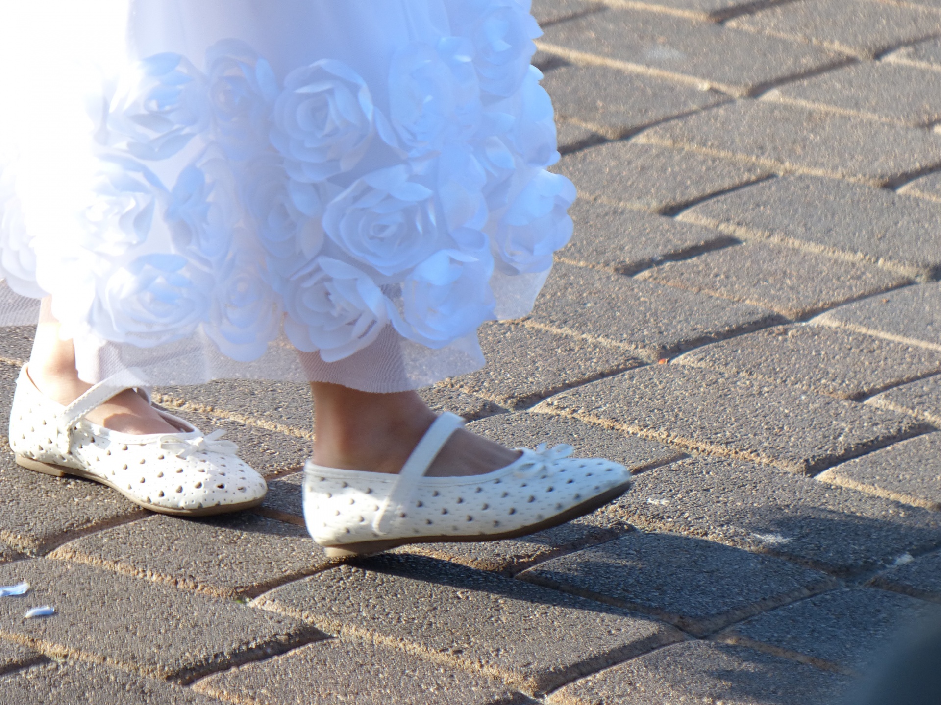 wedding flower girl free photo