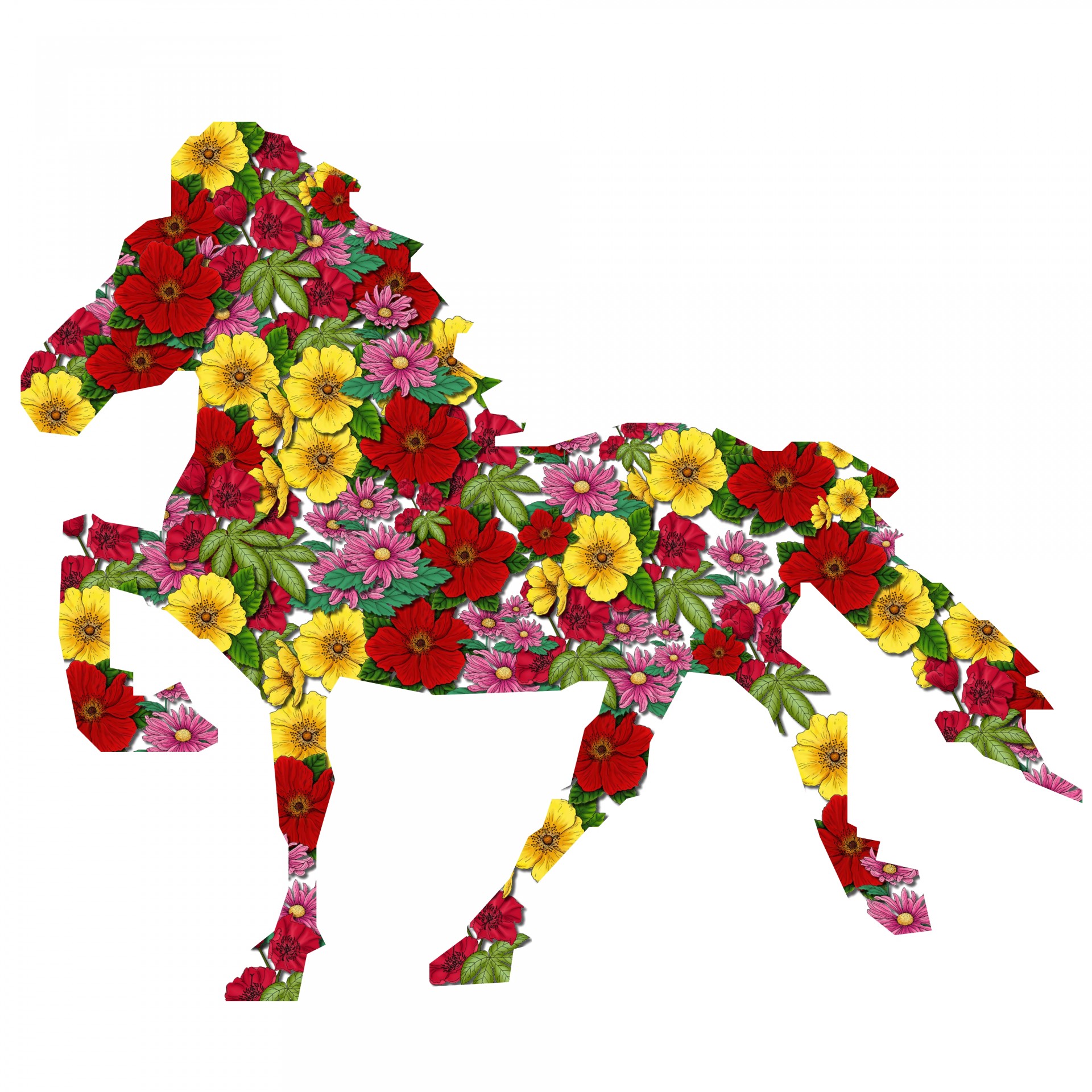 silhouette flowers horse free photo