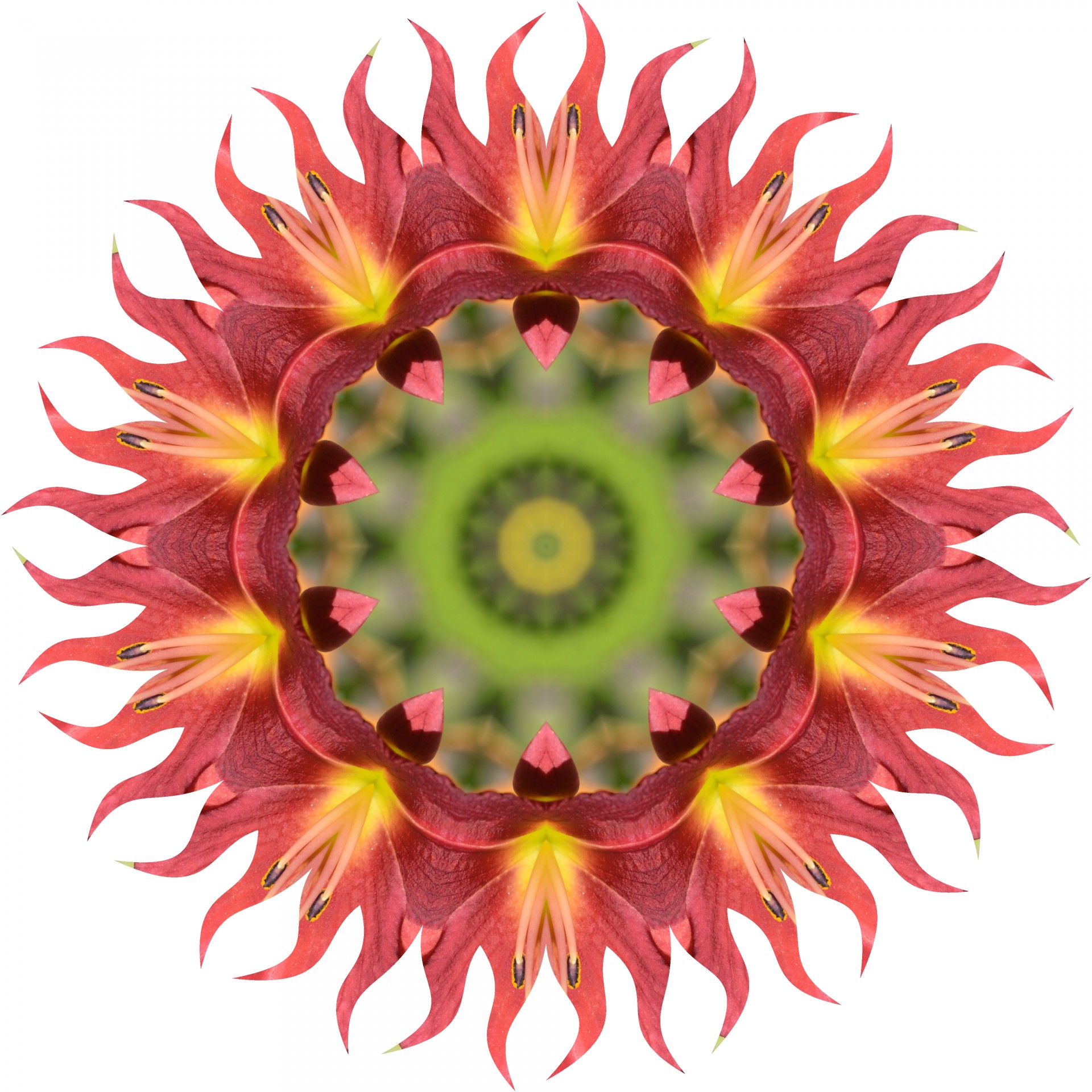 kaleidoscope flower kaleidoscopic free photo