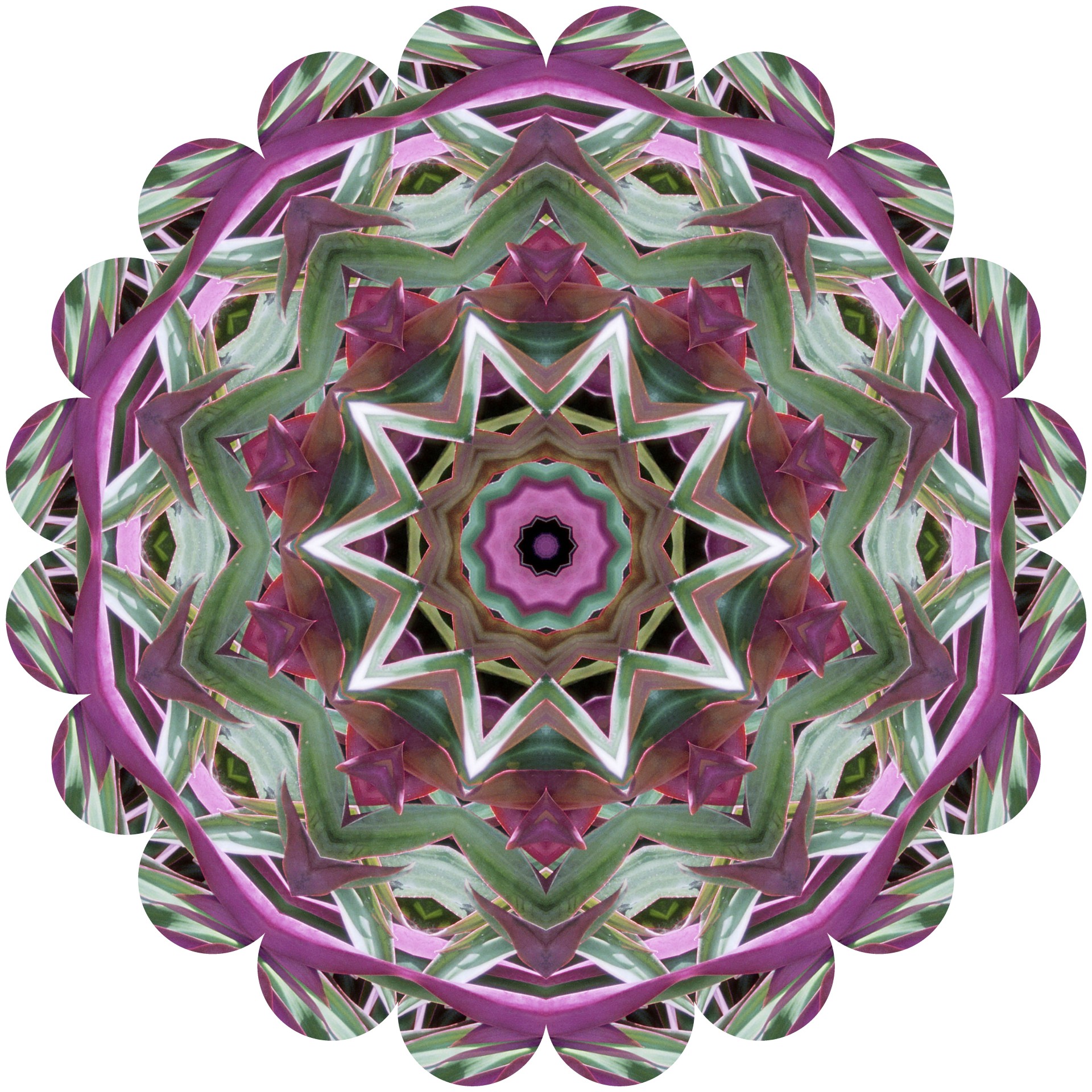 kaleidoscope flowers abstract free photo