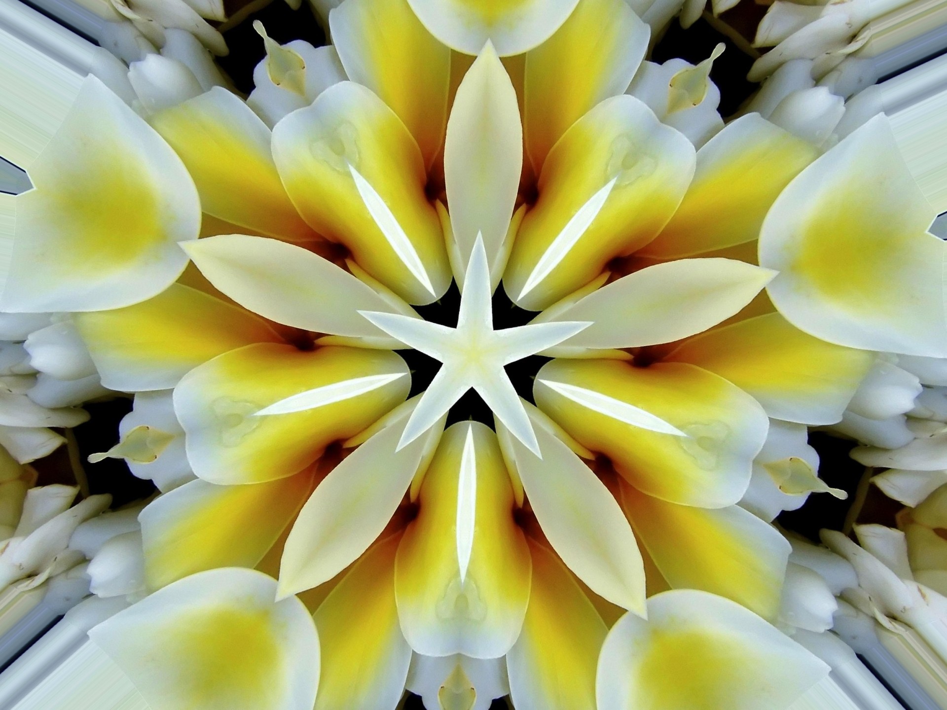 astronira fractal digital free photo