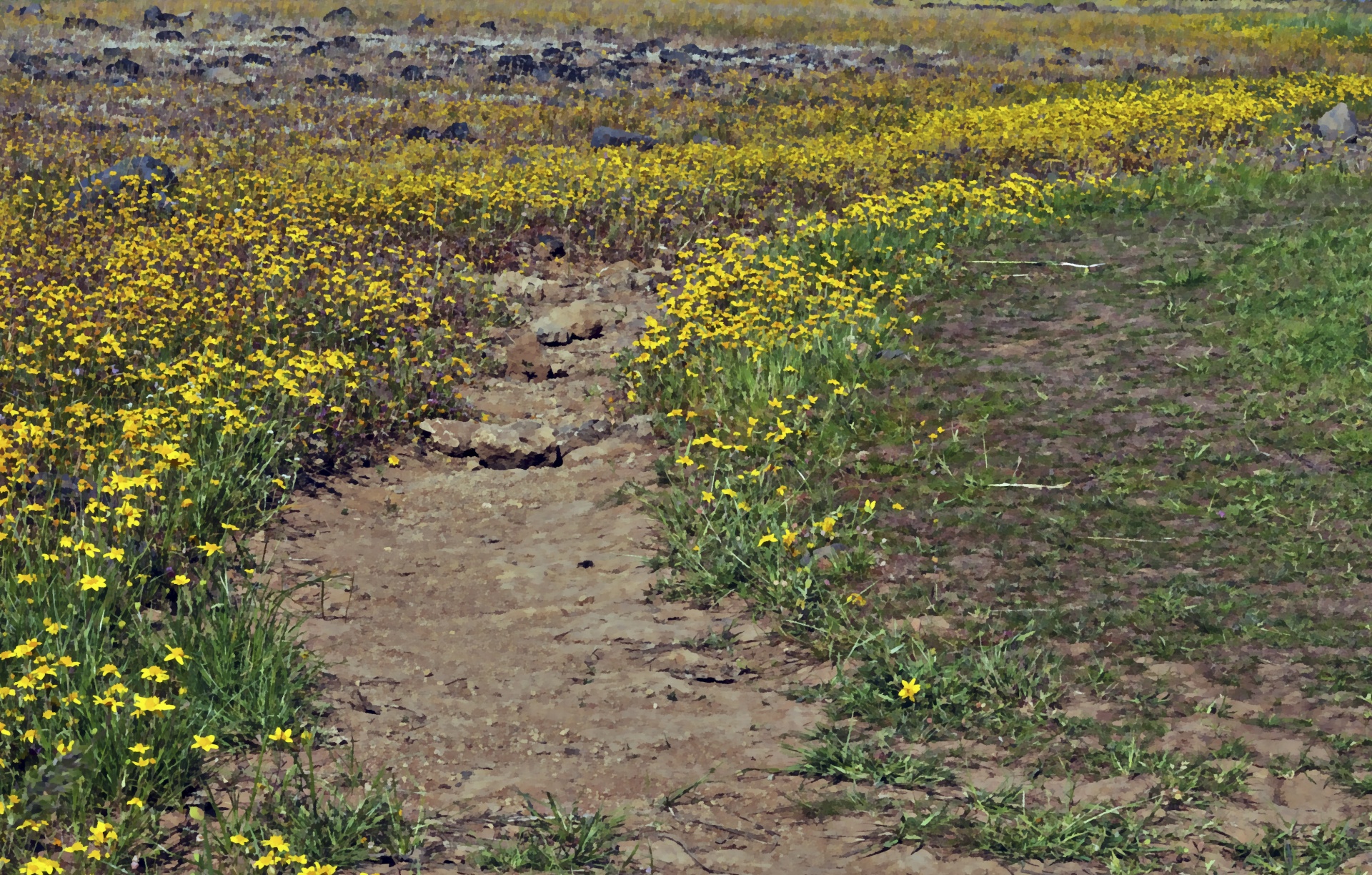 path dirt path walk free photo