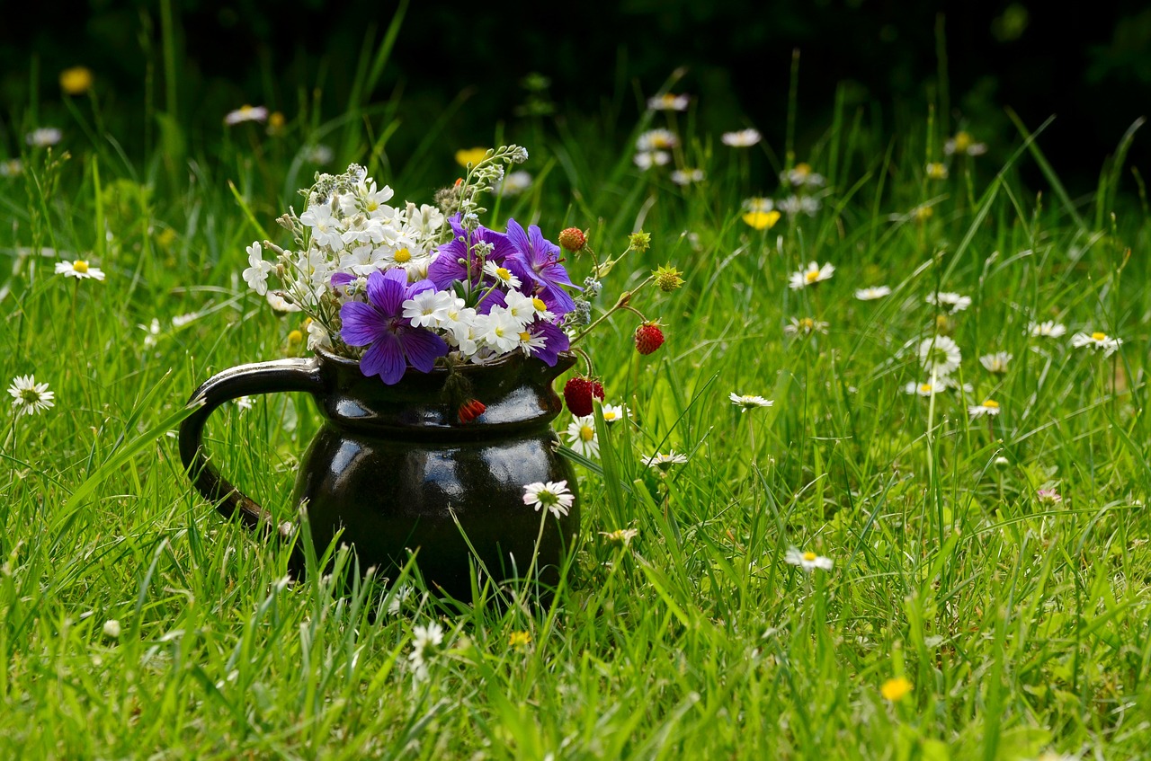 flower meadow bouquet wildflowers free photo