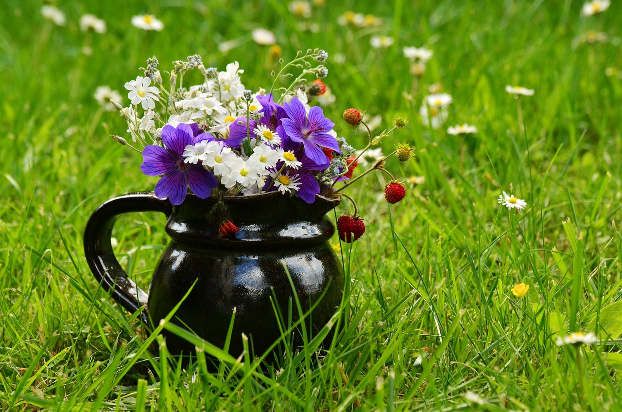 flower meadow bouquet wildflowers free photo