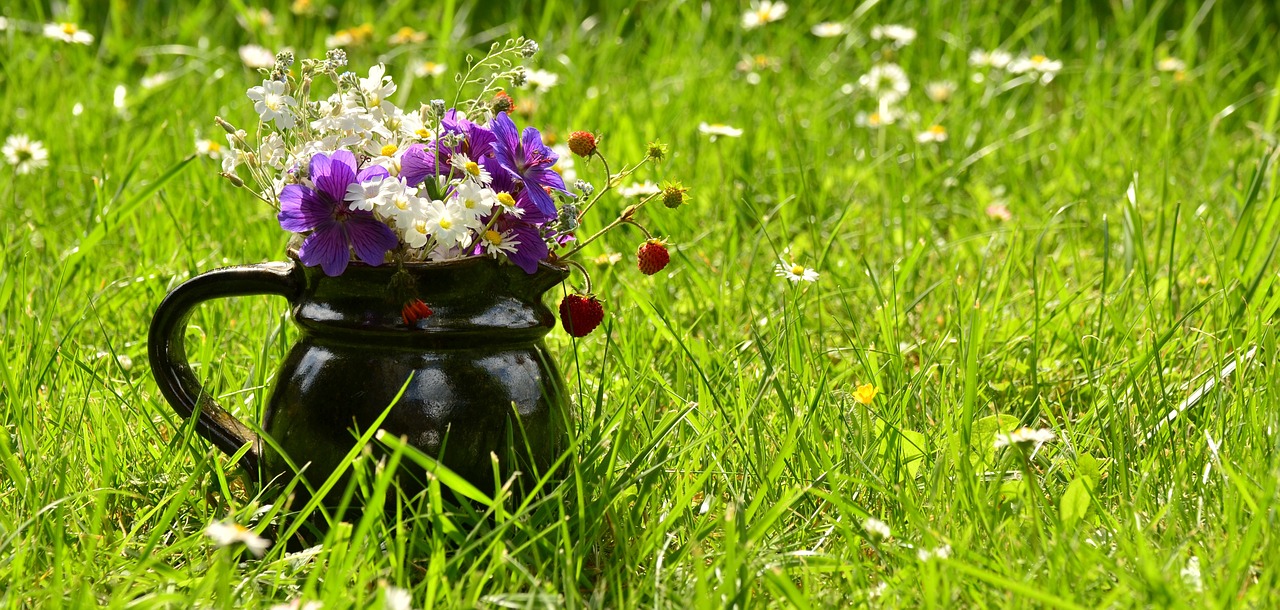 flower meadow bouquet wildflowers free photo