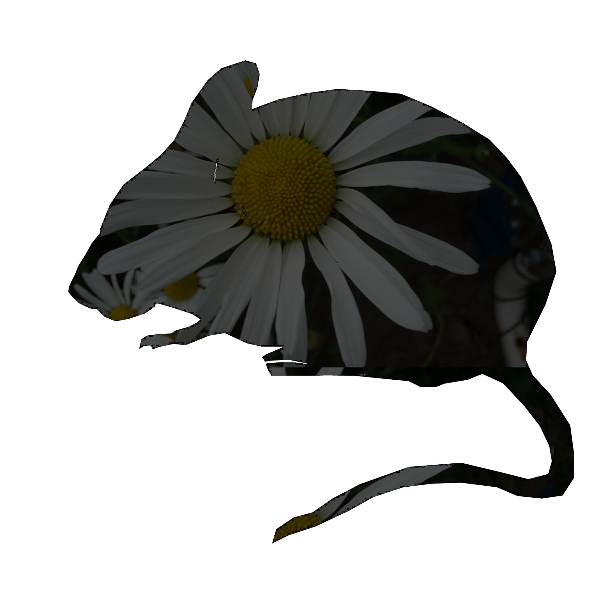 drawing mouse flower free photo