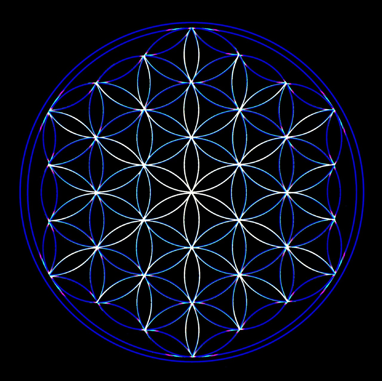 flower of life geometry universe free photo