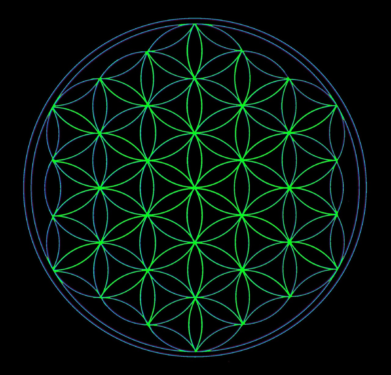 flower of life geometry universe free photo