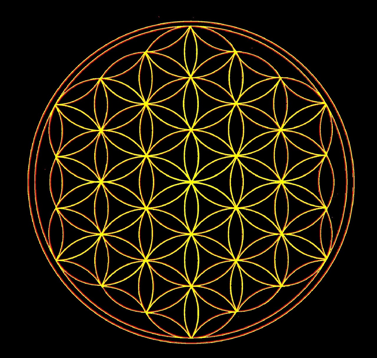 flower of life geometry universe free photo