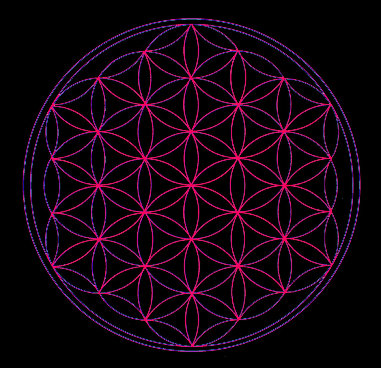 flower of life geometry universe free photo