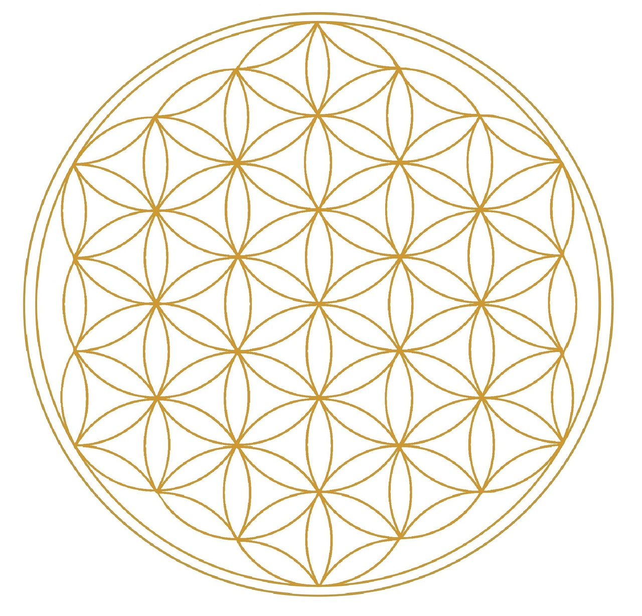 flower of life geometry universe free photo