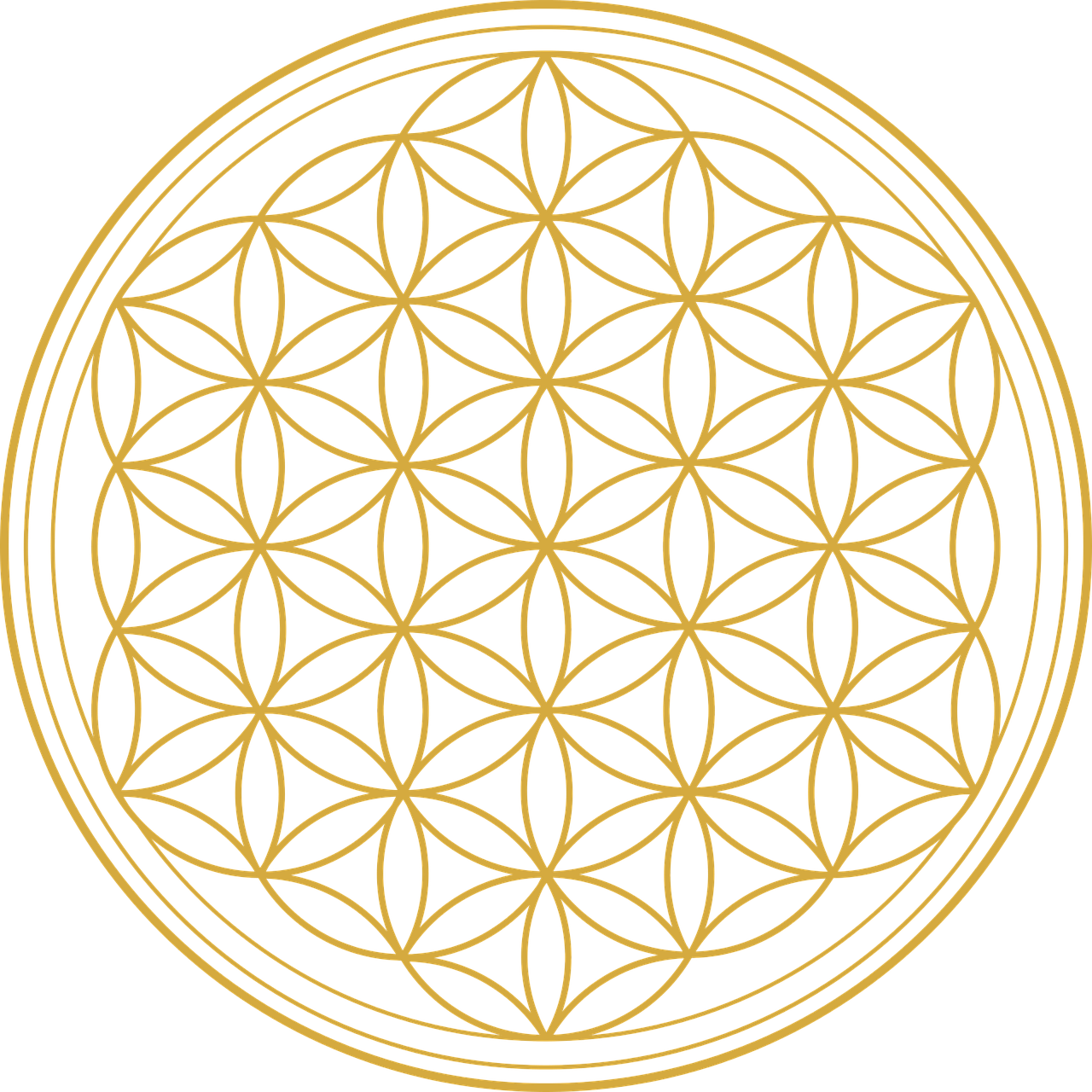flower of life flower graphic free photo